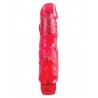 Vibratore Realistico Jelly JUICY JEWELS VIBE RUBY DREAM
