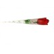 Rosenstring Rosa con Perizoma Rosso misura S/L